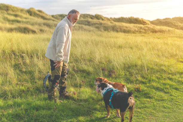 Fun Activities For Senior Dogs