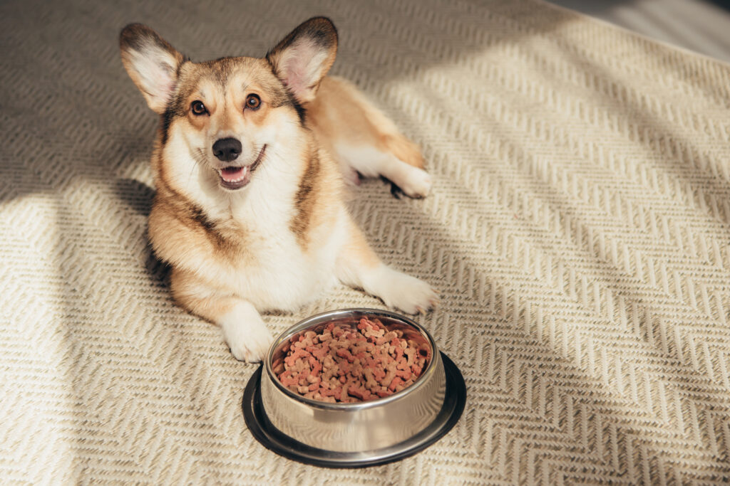 Bistro Grain-Free Salmon & Sweet Potato Recipe Dry Dog Food