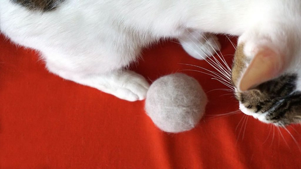 Understanding Hairball Issues in Cats